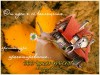 ПРОЕКТНЫЕ РЕМОНТ